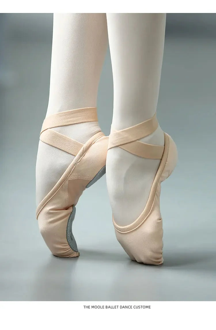New Girl Women's Professional Full Elastic Cloth Multiple Wearing Way Exercise Dancing Shoe Adult Cat Claw Ballet Dance Shoes