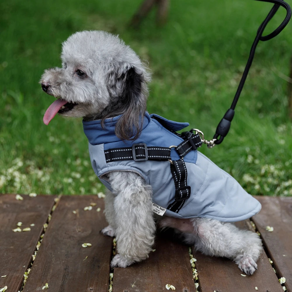 Winter Pet Dog Jacket With Harness Warm Dog Clothes For Labrador Waterproof Big Dog Coat Chihuahua French Bulldog Outfits