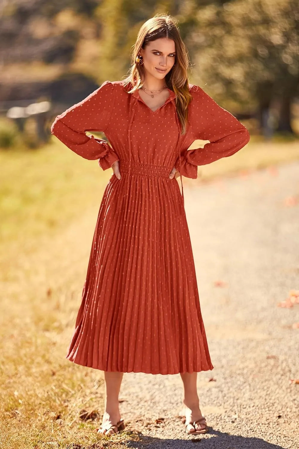 Women's Spring Fall Midi Dress Casual Long/Short Sleeve Elegant and fashionable V Neck Swiss Dot Pleated A Line Flowy Dresses