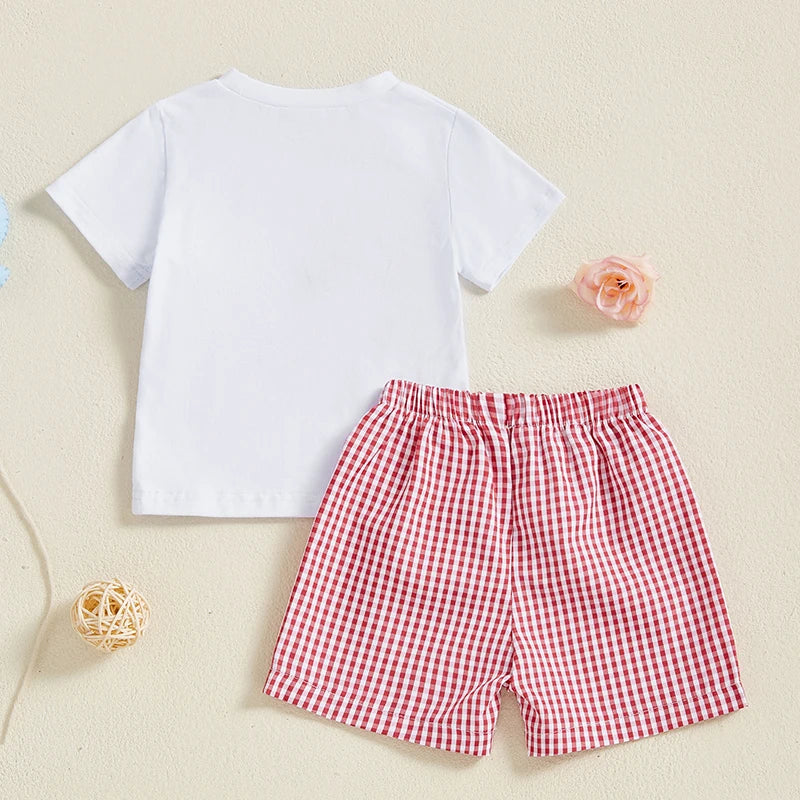 Baby Boy Birthday Outfit Set with Cute Animal Print Top and Stylish Plaid Shorts - Toddler 2 Piece Clothing Set