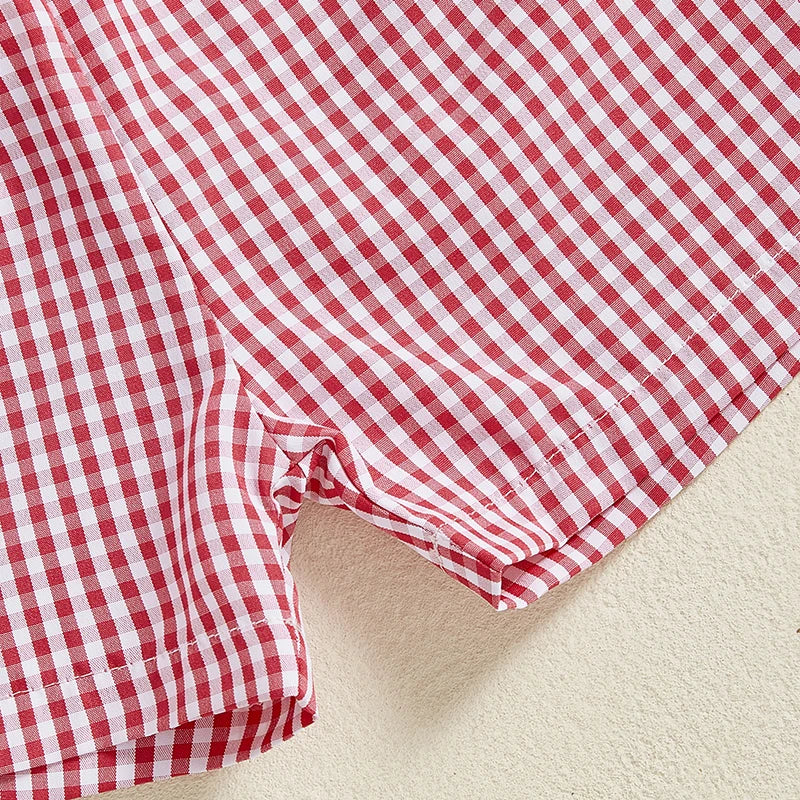 Baby Boy Birthday Outfit Set with Cute Animal Print Top and Stylish Plaid Shorts - Toddler 2 Piece Clothing Set