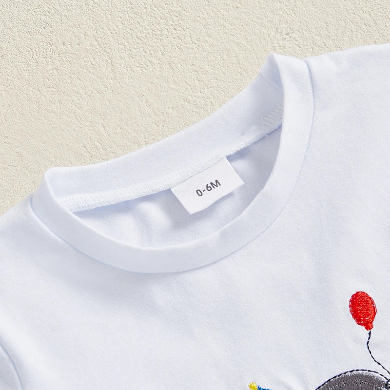 Baby Boy Birthday Outfit Set with Cute Animal Print Top and Stylish Plaid Shorts - Toddler 2 Piece Clothing Set