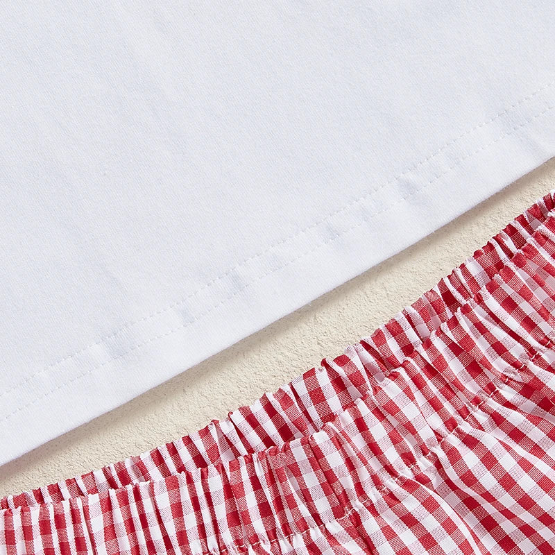 Baby Boy Birthday Outfit Set with Cute Animal Print Top and Stylish Plaid Shorts - Toddler 2 Piece Clothing Set