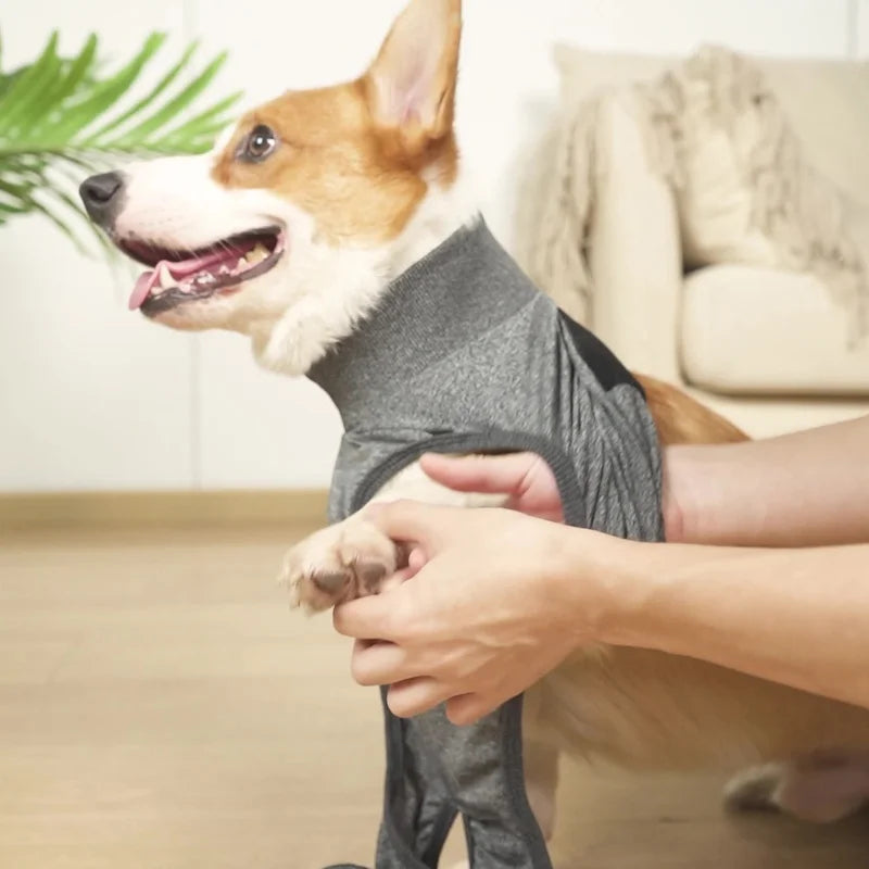 Recovery Suit for Dogs Cats After Surgery Professional Pet Recovery Shirts Dog Abdominal Wounds Bandages Prevent Licking Clothes